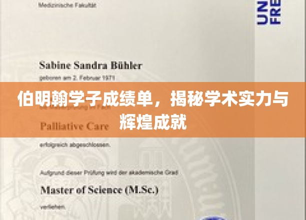 伯明翰精英风采，揭秘学子卓越成绩与耀眼成就之路
