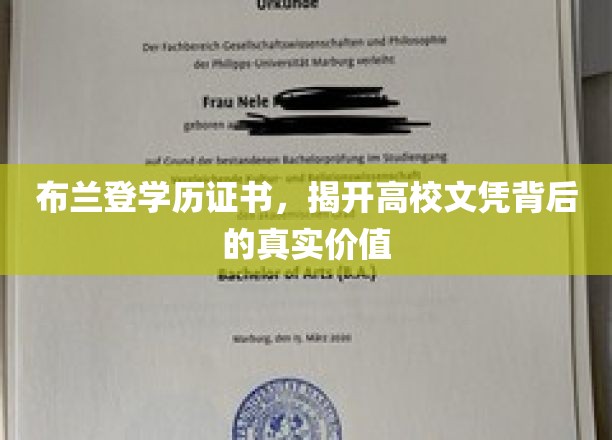 学历证书背后的高校价值揭秘，布兰登的真实学历故事