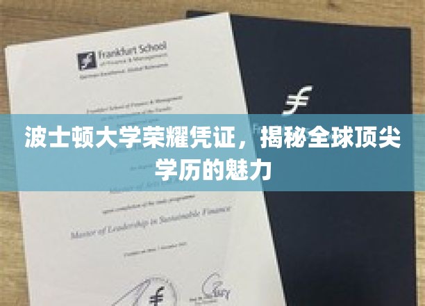 探寻波士顿大学学历背后的全球精英光环