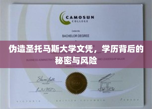 伪造圣托马斯大学文凭，学历背后的秘密与风险