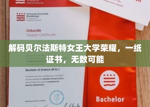 贝尔法斯特女王大学成就见证，证书背后，无限未来启航