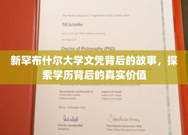 解锁新罕布什尔大学文凭背后的深层价值