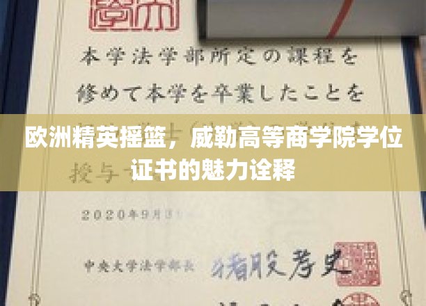 欧洲精英学府威勒商学院，学位证书背后的非凡价值与荣耀