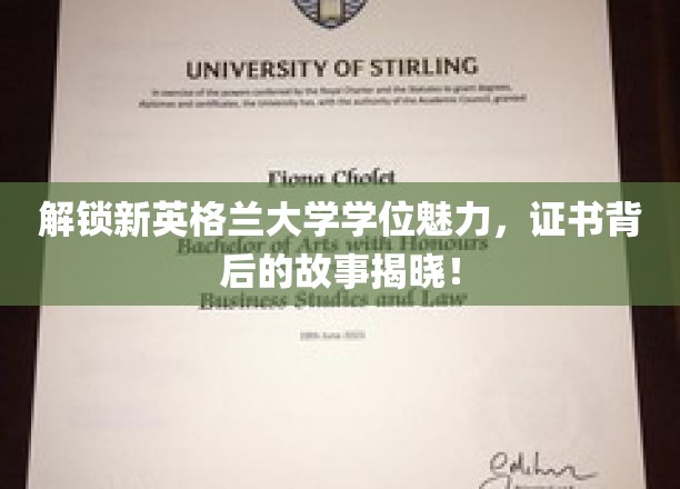 解锁新英格兰大学学位魅力，证书背后的故事揭晓！