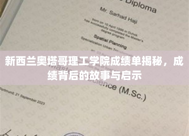 新西兰奥塔哥理工学院成绩单揭秘，探寻成绩背后的故事与启示