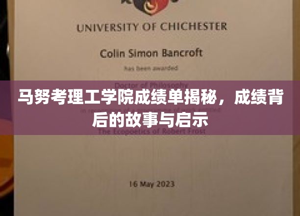马努考理工学院成绩单揭秘，成绩背后的故事与启示