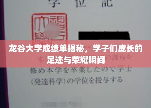 龙谷大学成绩单揭秘，学子成长的足迹与荣耀瞬间