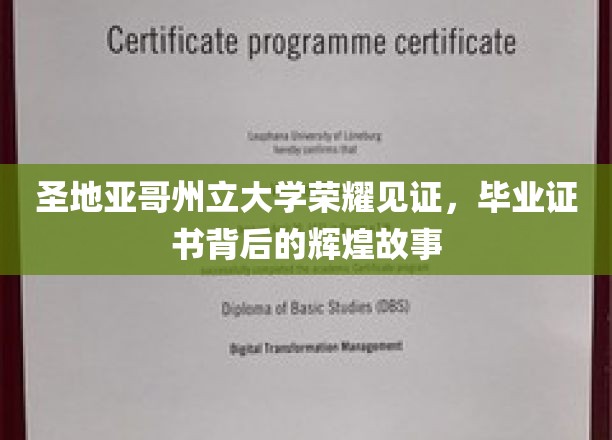 圣地亚哥州立大学荣耀见证，毕业证书背后的辉煌故事