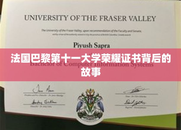 探寻巴黎第十一大学荣耀证书的传奇历程