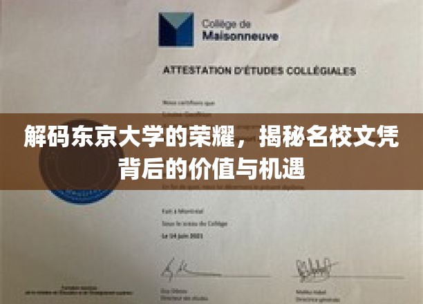 解码东京大学的荣耀，揭秘名校文凭背后的价值与机遇