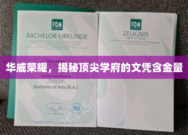 华威传奇，解码顶尖名校学位的珍贵价值