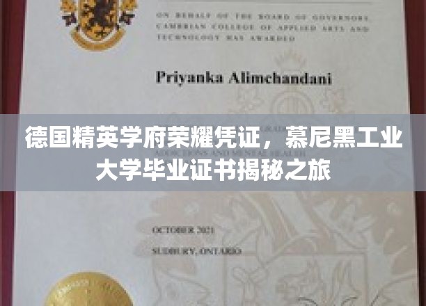 解码慕尼黑工业大学，探寻德国顶级学府的荣耀证书密码