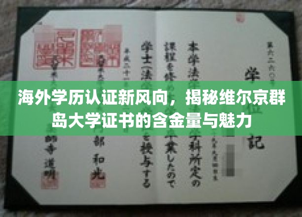 海外学历认证新趋势，揭开维尔京群岛大学证书的全球吸引力与价值