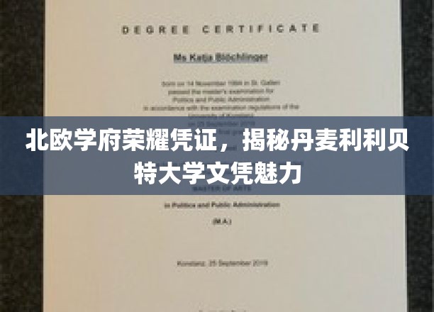 北欧学府荣耀凭证，揭秘丹麦利利贝特大学文凭魅力