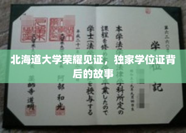 北海道大学荣耀见证，独家学位证背后的故事