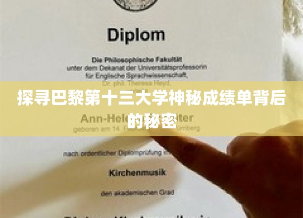 巴黎十三大学成绩单之谜，揭开隐藏的学术传奇