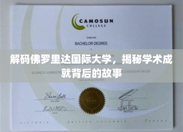 探索佛罗里达国际大学，揭开学术辉煌背后的神秘面纱