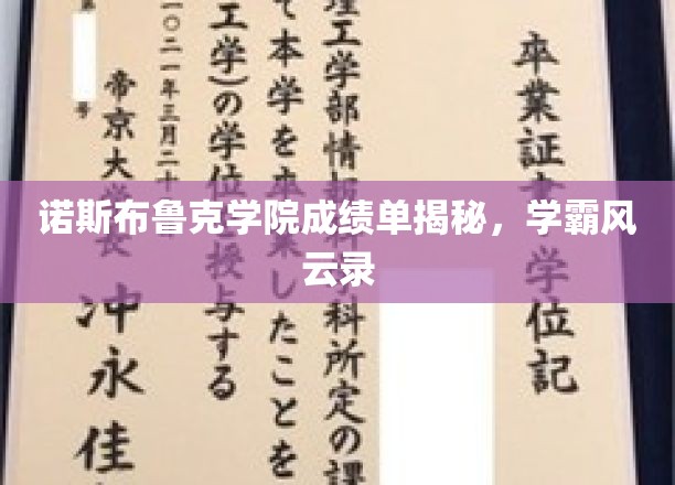 诺斯布鲁克学院成绩单揭秘，学霸风云录