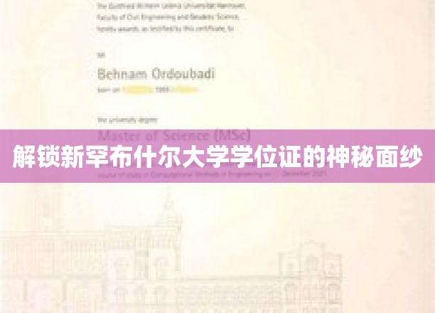 探寻新罕布什尔大学学位证书背后的奥秘之旅