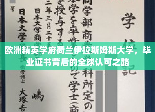 解码荷兰伊拉斯姆斯大学，全球精英教育的认证传奇