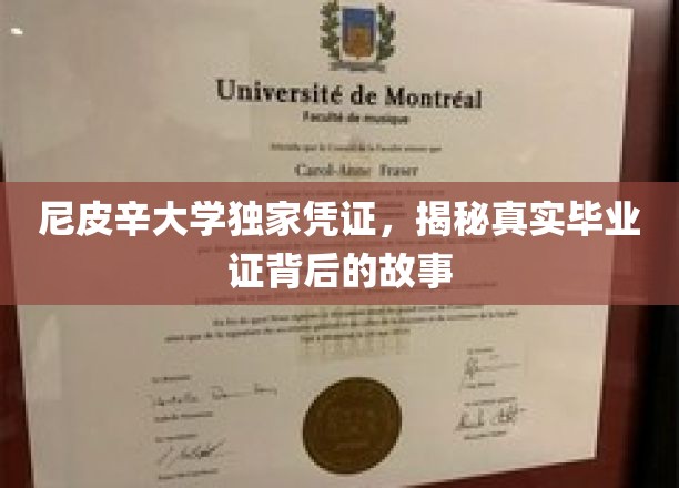 揭开尼皮辛大学毕业证背后的神秘面纱，独家凭证背后的真实故事