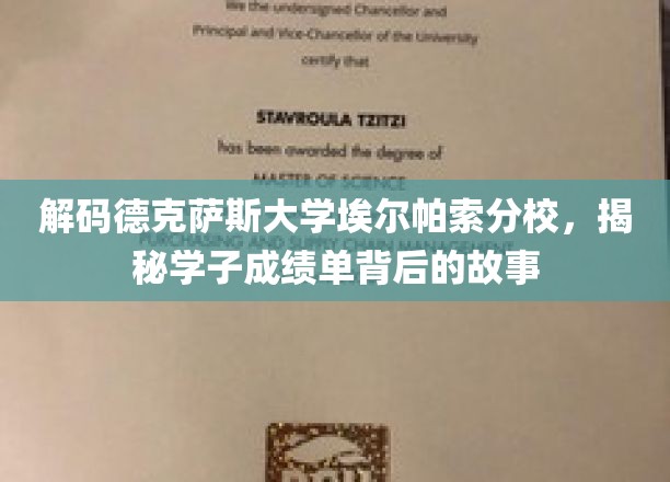解码德克萨斯大学埃尔帕索分校，揭秘学子成绩单背后的故事
