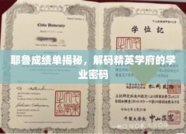 耶鲁成绩单揭秘，解码精英学府的学业密码