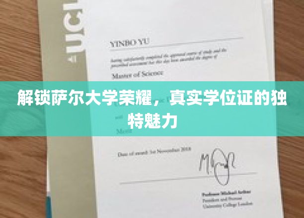萨尔大学学位证，揭秘荣耀背后的真实力量