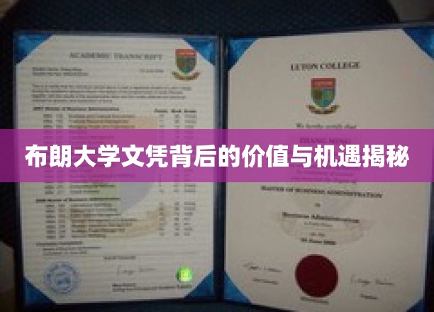 布朗大学文凭的隐藏价值与未来无限可能探索