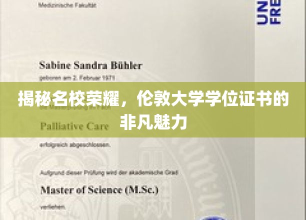 揭秘名校荣耀，伦敦大学学位证书的非凡魅力