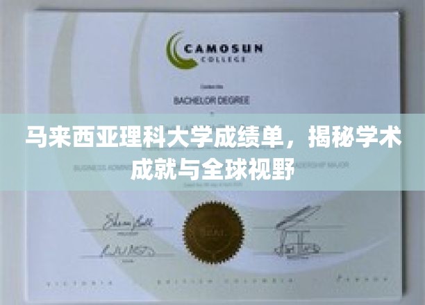 马来西亚理科大学成绩单，揭秘学术成就与全球视野