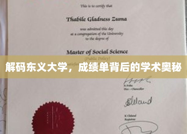 解码东义大学，探寻成绩单背后的学术奥秘