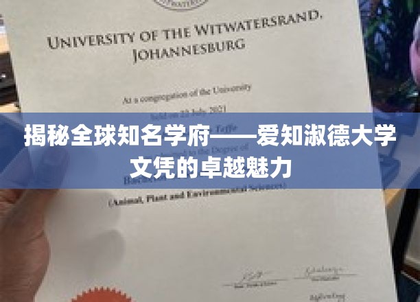 探寻爱知淑德大学文凭背后的全球影响力与独特价值