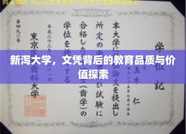 新泻大学，文凭背后的教育品质与价值探索