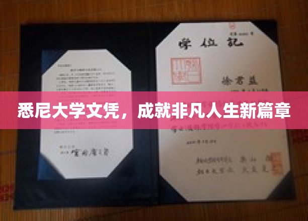 悉尼大学文凭，开启非凡人生新篇章