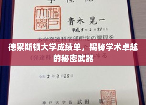 德累斯顿大学成绩单背后，揭秘培养学术精英的神秘法宝