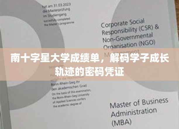 南十字星大学成绩单，见证学子成长轨迹的珍贵凭证