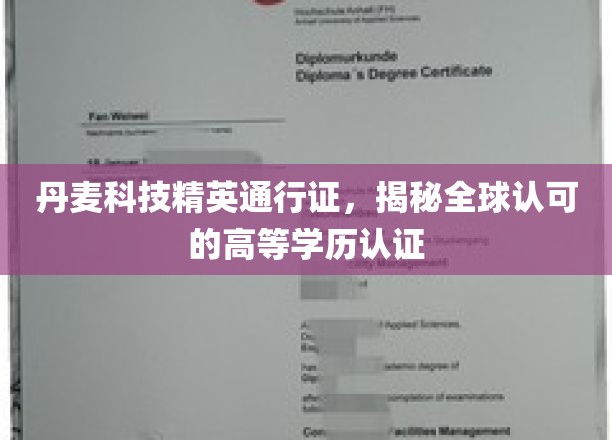 丹麦精英护照，全球通行无阻的学历认证传奇