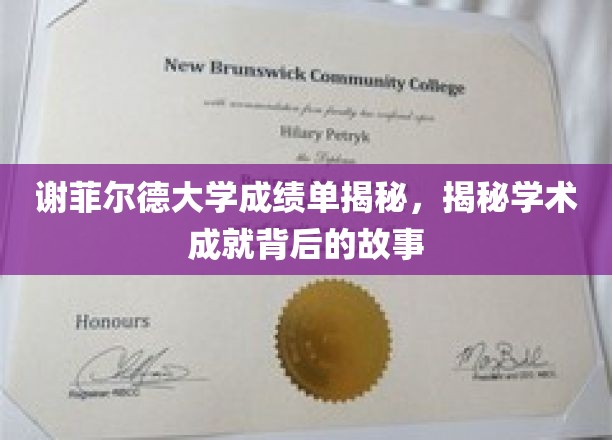 谢菲尔德大学成绩单揭秘，揭秘学术成就背后的故事