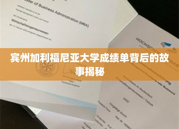 宾州大学成绩单背后的故事揭秘