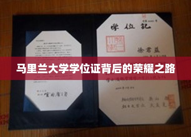 马里兰大学学位证背后的荣耀之路