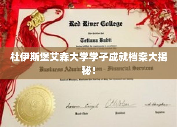 杜伊斯堡艾森大学学子成就档案大揭秘！