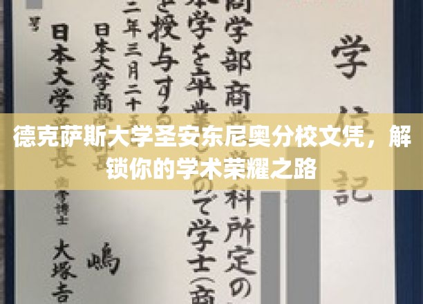 德克萨斯大学圣安东尼奥分校文凭，开启学术巅峰的荣耀之门