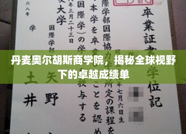 穿越全球视野，揭秘奥尔胡斯商学院的非凡成就之旅