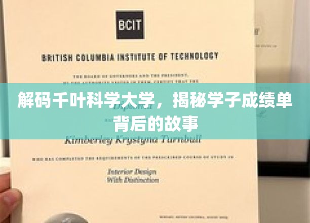 探寻千叶科学大学学子成绩单背后的青春足迹