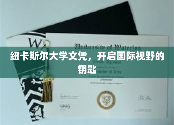 纽卡斯尔大学文凭，开启国际视野的钥匙