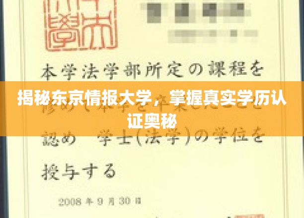 探秘东京情报大学，揭秘学历认证背后的秘密世界