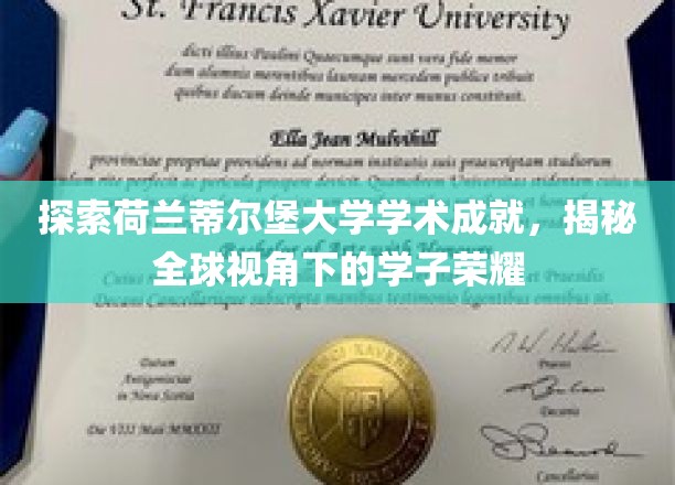 荷兰蒂尔堡大学闪耀全球，学子荣耀背后的学术秘境