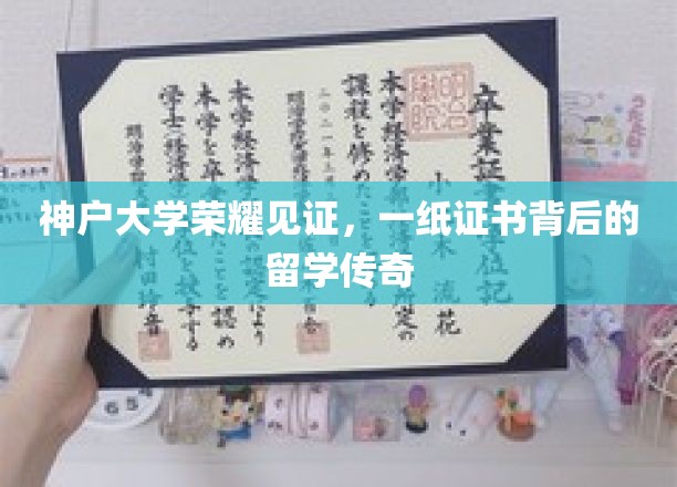 神户大学荣耀加冕，揭秘留学生活中的璀璨证书传奇