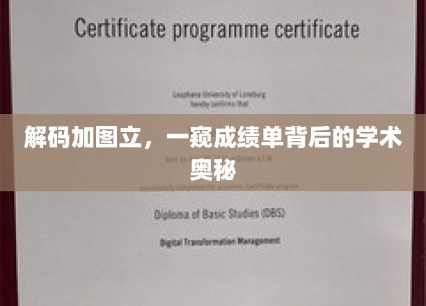 解码加图立，一窥成绩单背后的学术奥秘